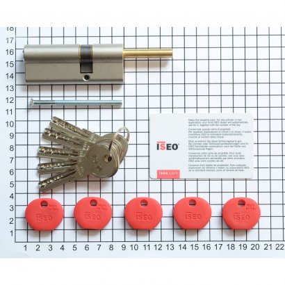 Цилиндровый механизм ISEO R65 NI 55хK30 мм никелированный, 5 ключей с пластиковыми колпачками