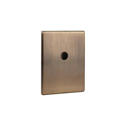 Накладка на шток цилиндра ESC.O.RL/K.486 (ESC 486-O RL) ABG-6 зелёная бронза (1шт.)